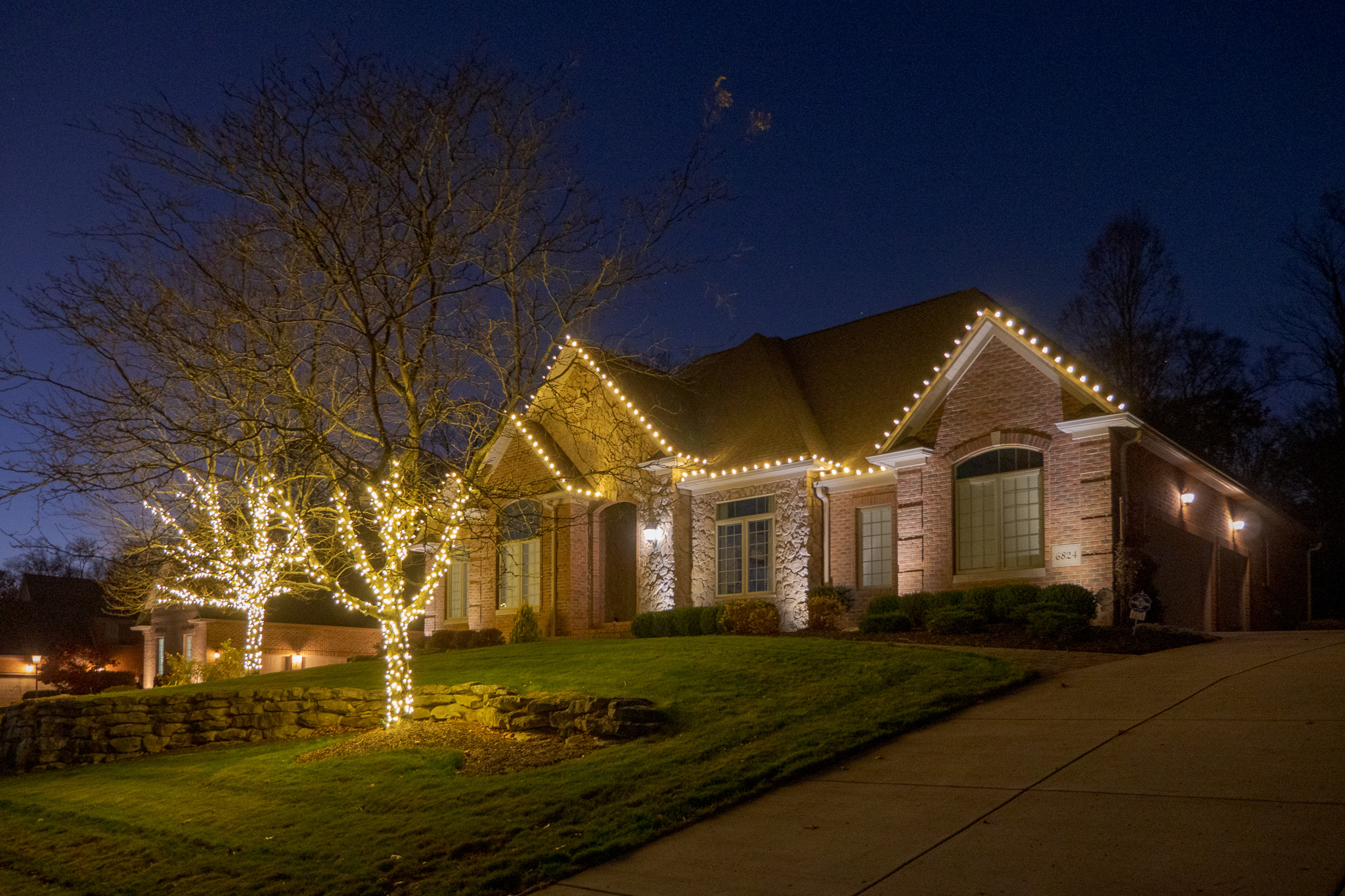 Tightly wrapped lit trees